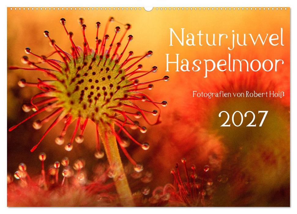 Naturjuwel Haspelmoor (CALVENDO Wandkalender 2027)