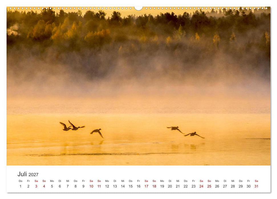 Mystische Nebellandschaften (CALVENDO Premium Wandkalender 2027)
