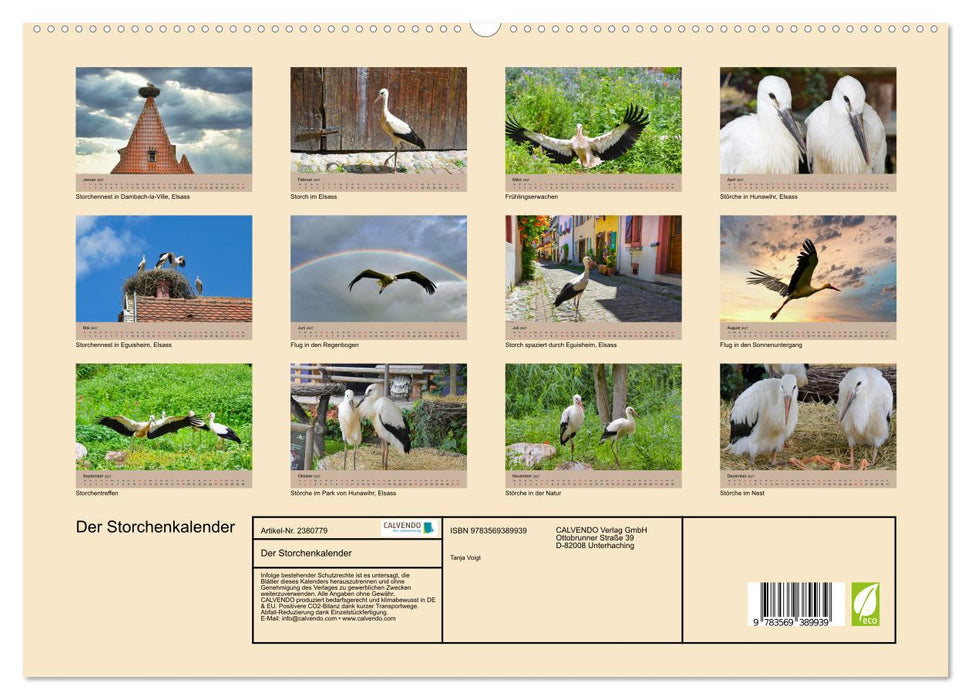 Der Storchenkalender (CALVENDO Premium Wandkalender 2027)