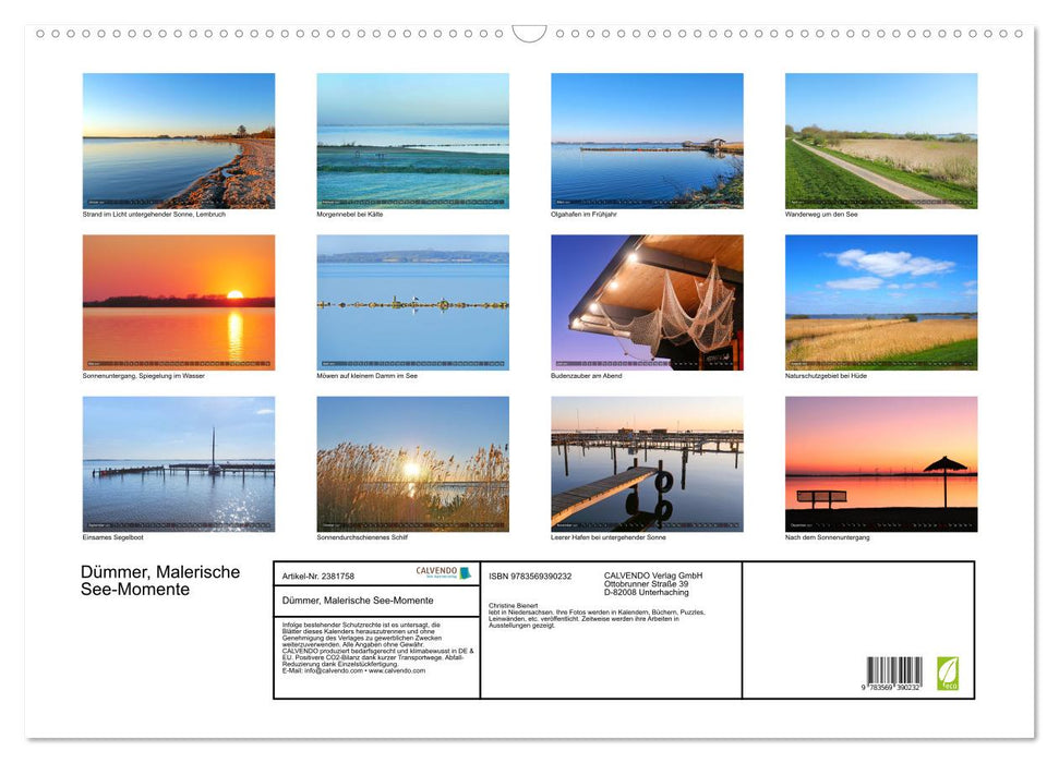 Dümmer, Malerische See-Momente (CALVENDO Wandkalender 2027)