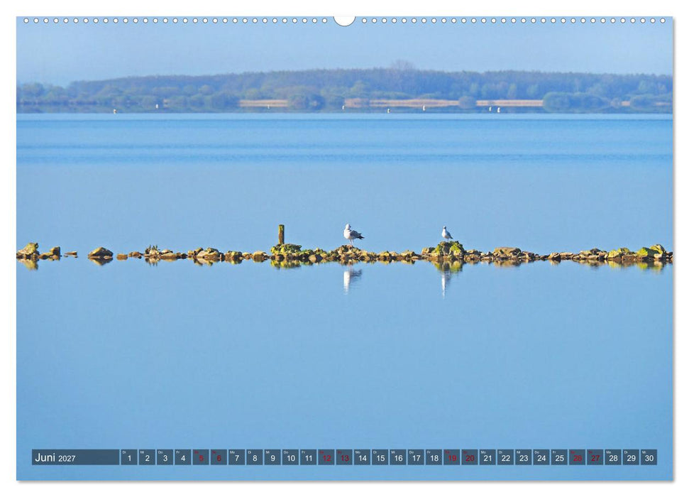 Dümmer, Malerische See-Momente (CALVENDO Wandkalender 2027)