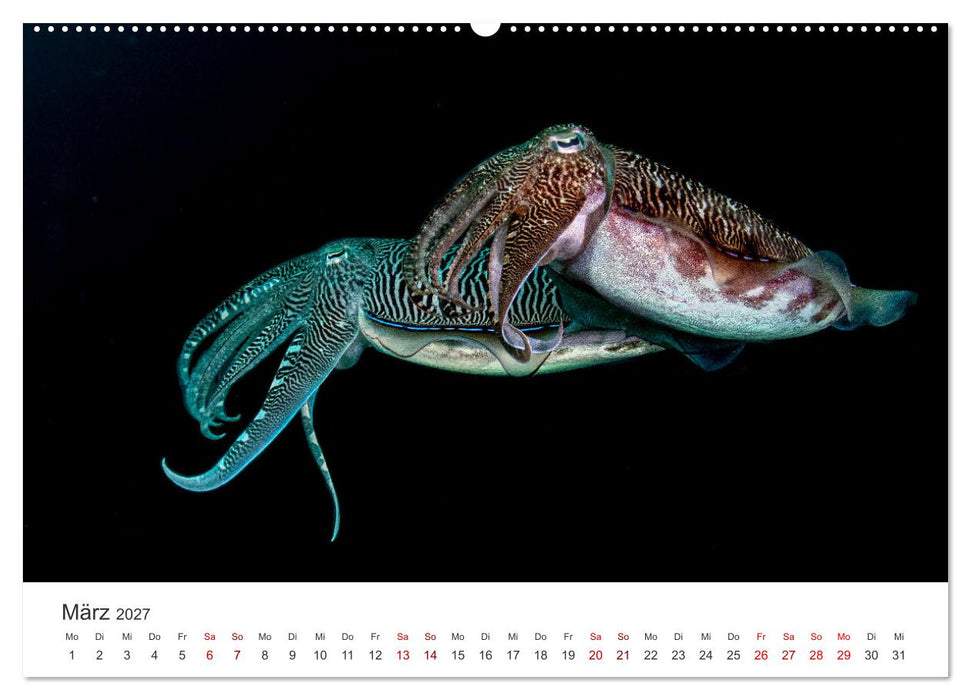 Faszination blaue Welt (CALVENDO Wandkalender 2027)