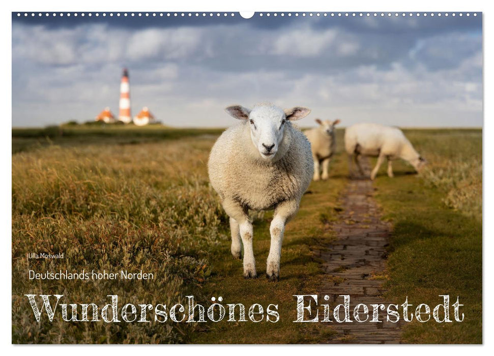 Wunderschönes Eiderstedt (CALVENDO Wandkalender 2027)