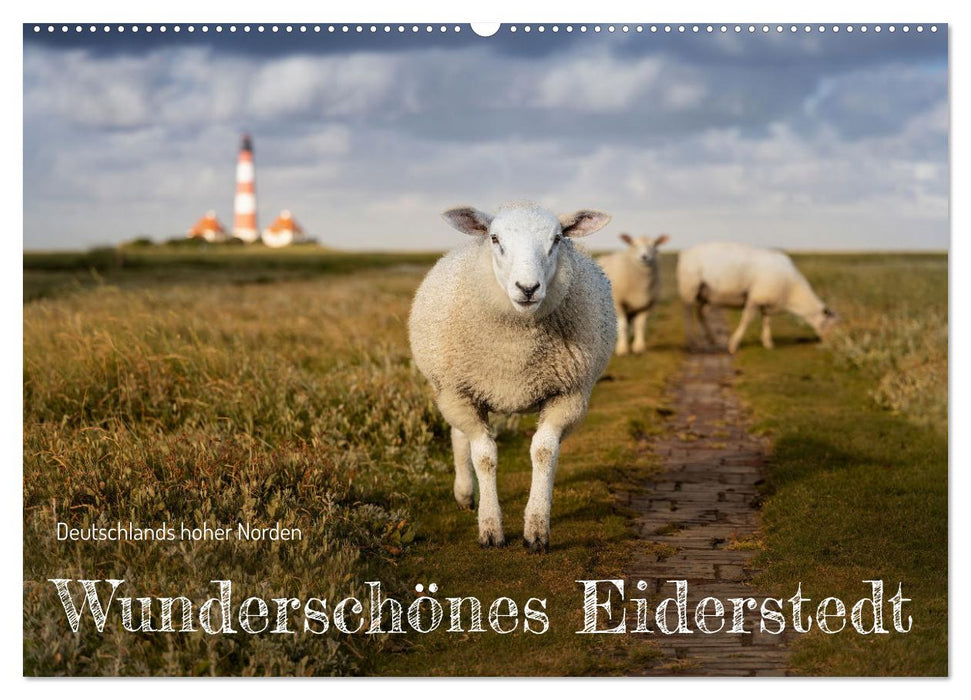 Wunderschönes Eiderstedt (CALVENDO Wandkalender 2027)
