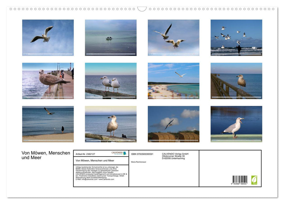 Von Möwen, Menschen und Meer (CALVENDO Wandkalender 2027)