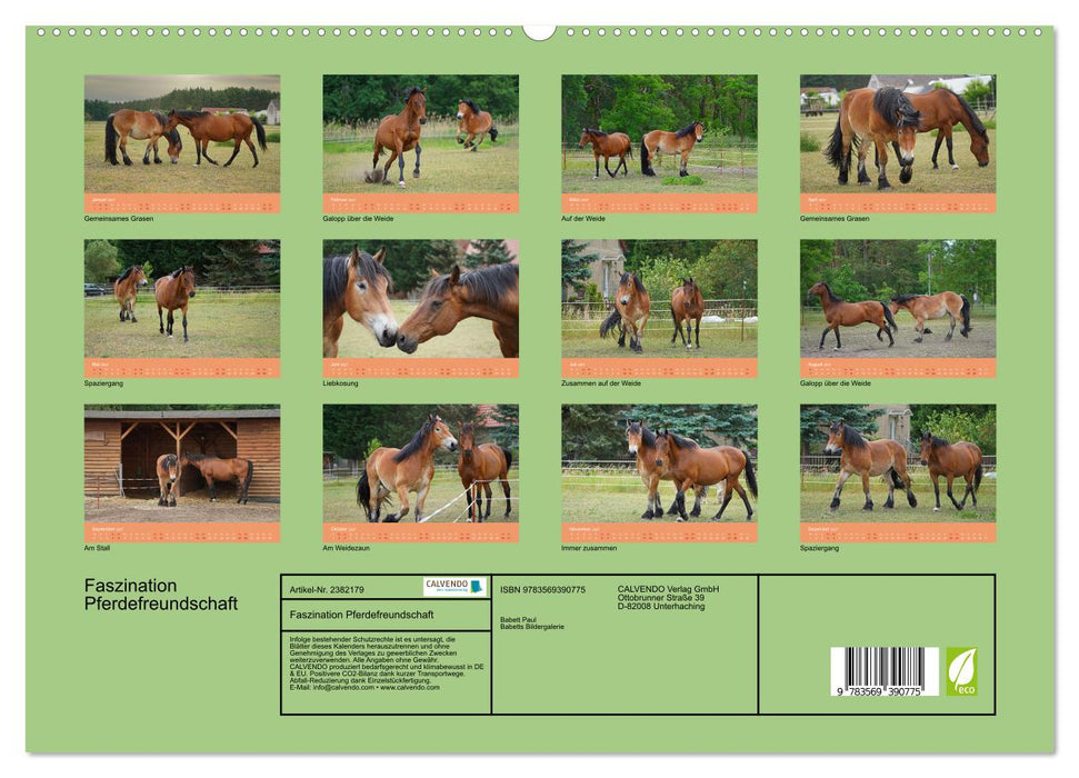 Faszination Pferdefreundschaft (CALVENDO Premium Wandkalender 2027)