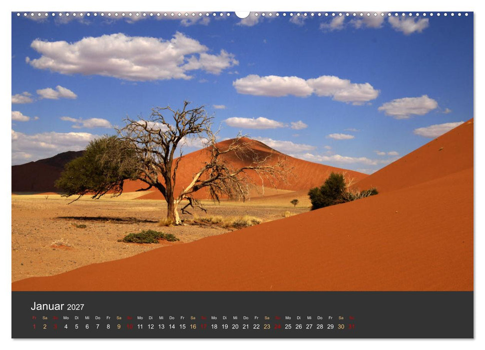 Wüstenbäume (CALVENDO Premium Wandkalender 2027)