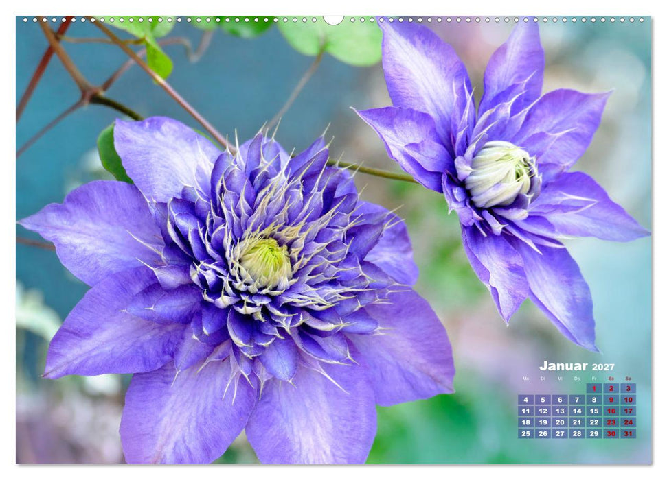 Geliebte Kletterkünstler (CALVENDO Wandkalender 2027)