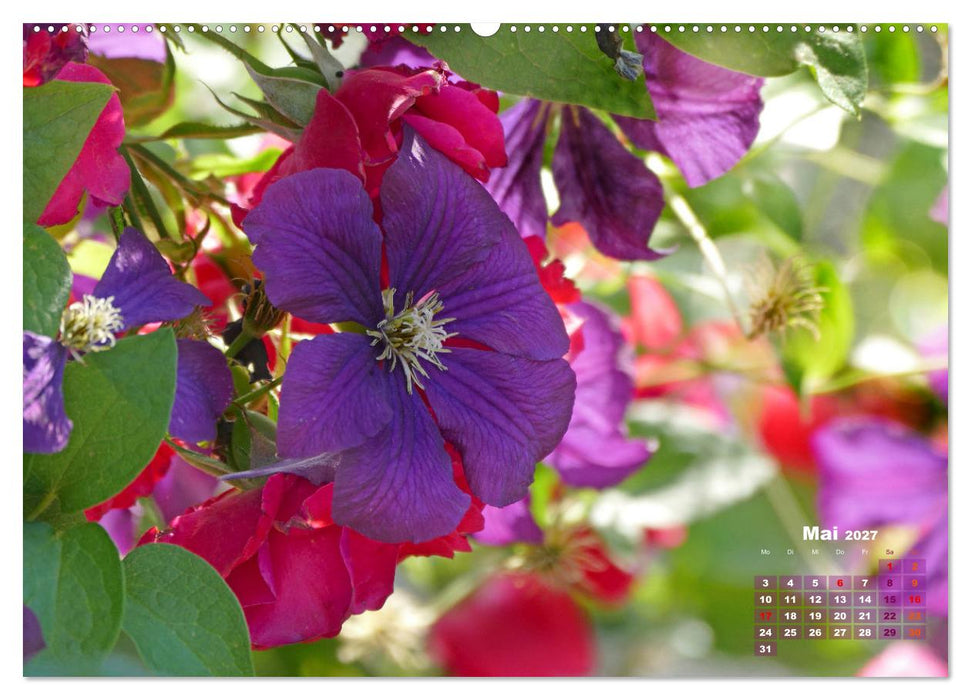 Geliebte Kletterkünstler (CALVENDO Wandkalender 2027)
