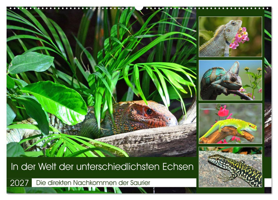 In der Welt der unterschiedlichsten Echsen (CALVENDO Wandkalender 2027)