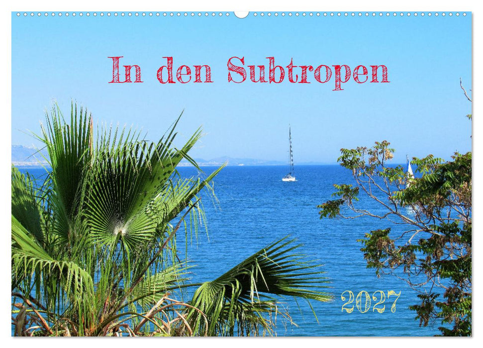 In den Subtropen (CALVENDO Wandkalender 2027)