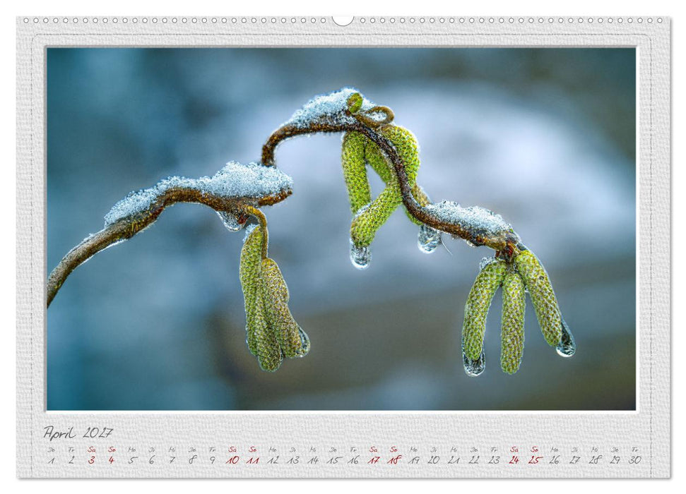 EisKalt Gestaltet (CALVENDO Premium Wandkalender 2027)