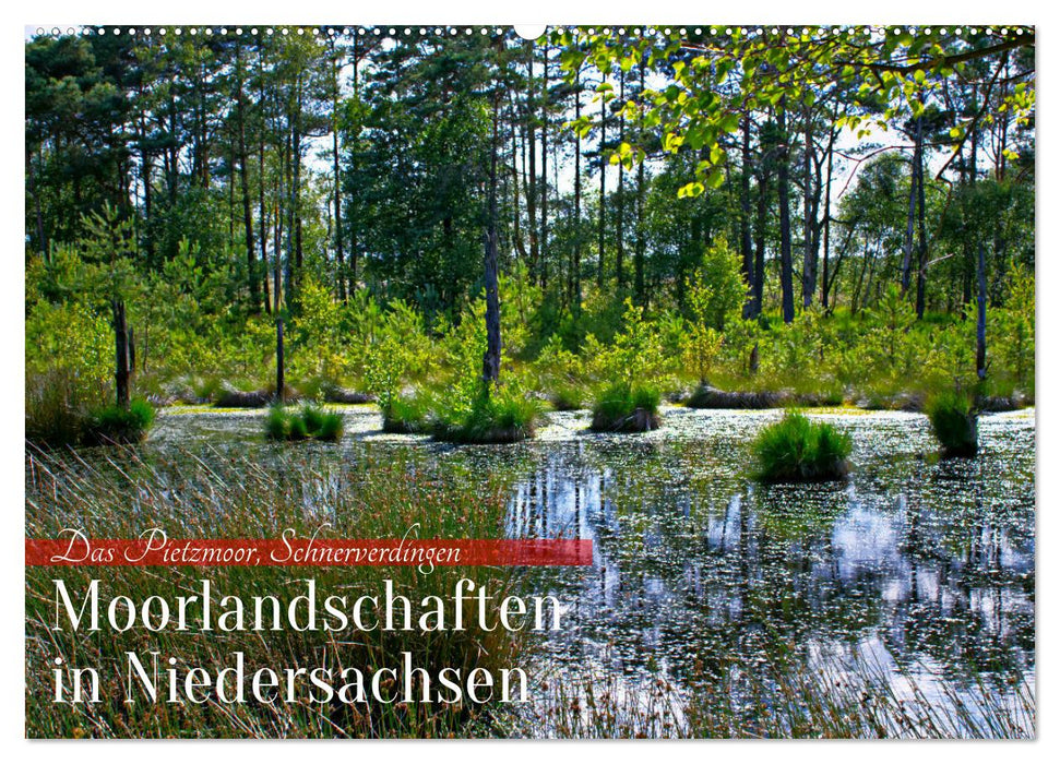 Niedersachsens Moorlandschaften - Das Pietzmoor, Schneverdingen (CALVENDO Wandkalender 2027)