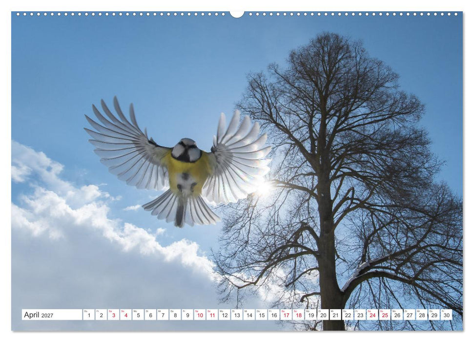 Naturschönheiten im Biosphärerenreservat Rhön (CALVENDO Wandkalender 2027)