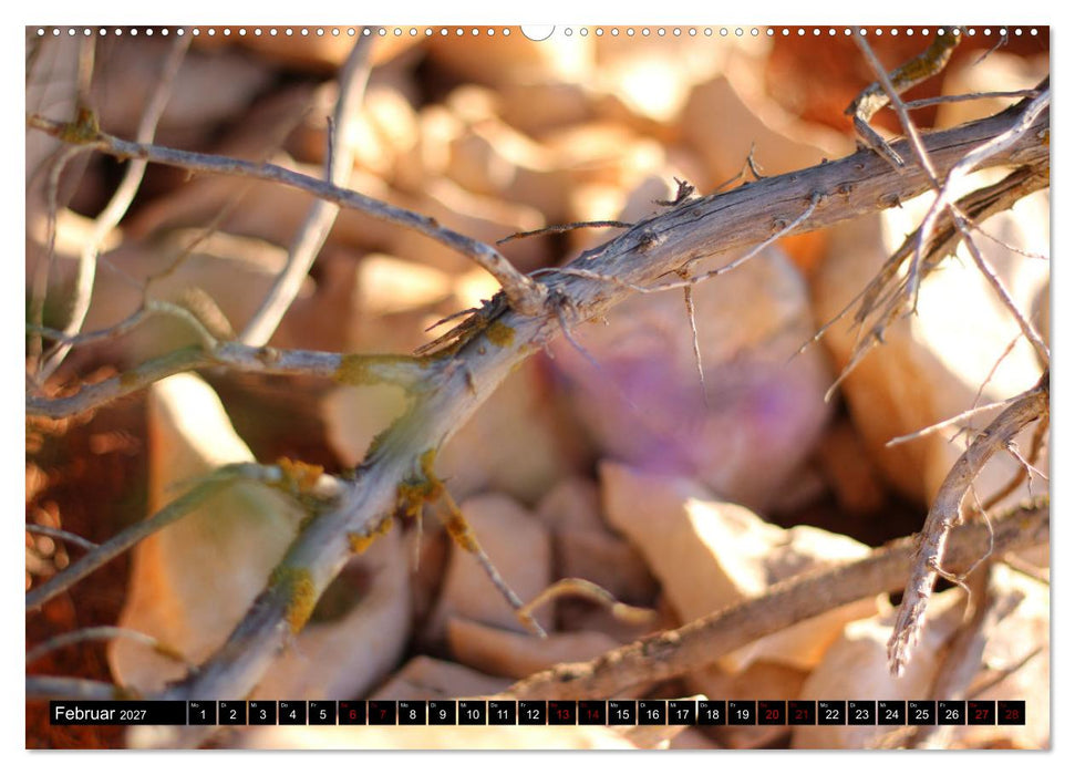 Cres, die steinige Insel (CALVENDO Premium Wandkalender 2027)