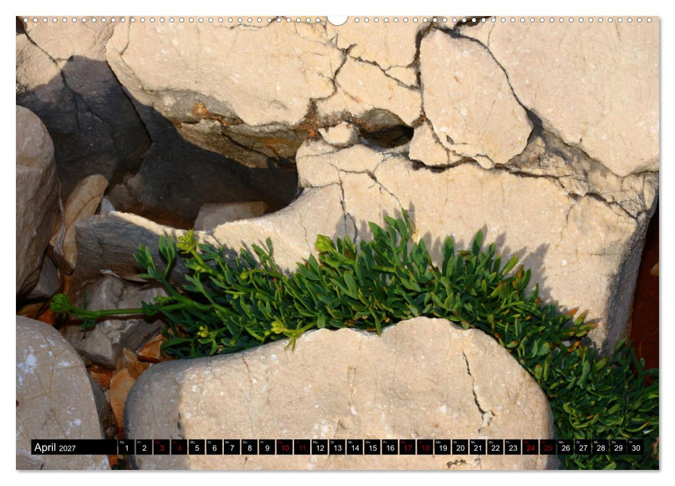 Cres, die steinige Insel (CALVENDO Premium Wandkalender 2027)