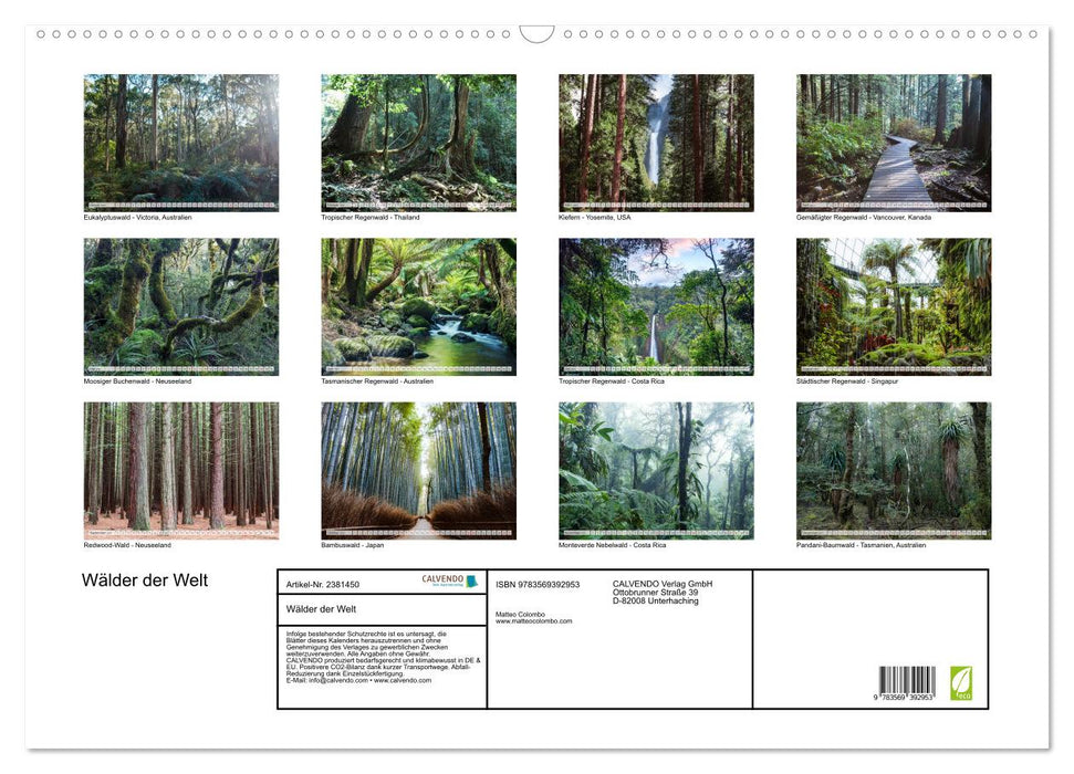 Wälder der Welt (CALVENDO Wandkalender 2027)