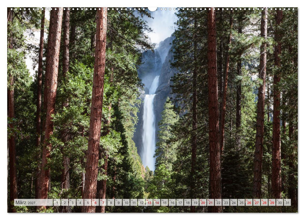 Wälder der Welt (CALVENDO Wandkalender 2027)