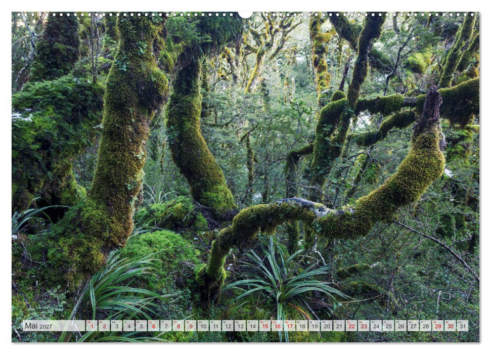 Wälder der Welt (CALVENDO Wandkalender 2027)