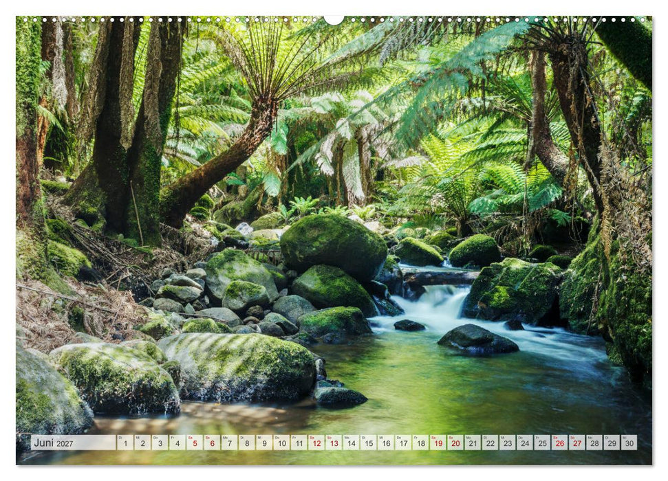 Wälder der Welt (CALVENDO Wandkalender 2027)