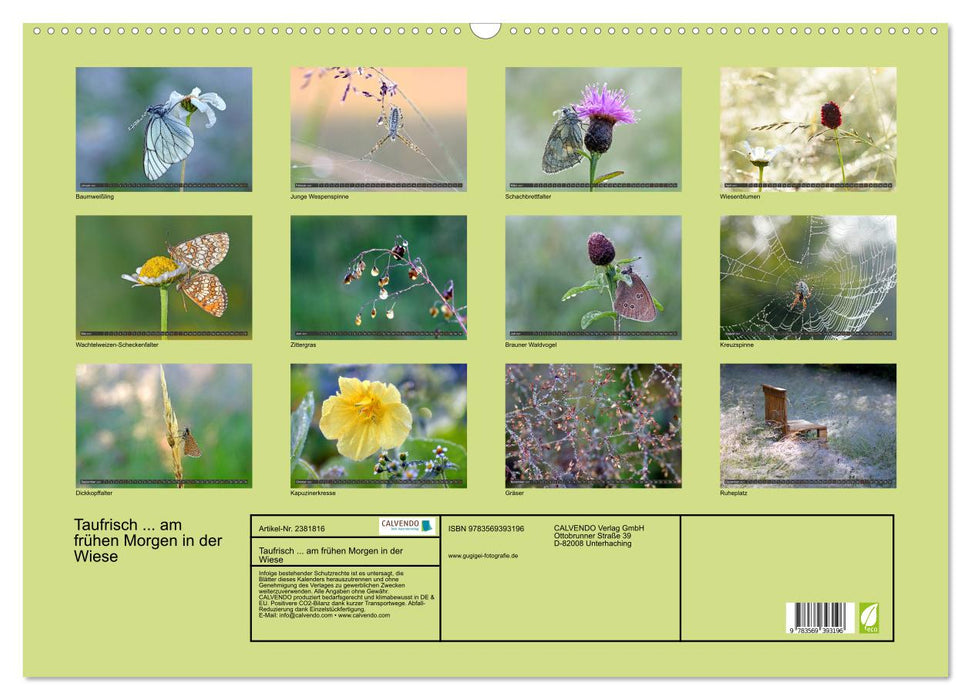 Taufrisch... am frühen Morgen in der Wiese (CALVENDO Wandkalender 2027)