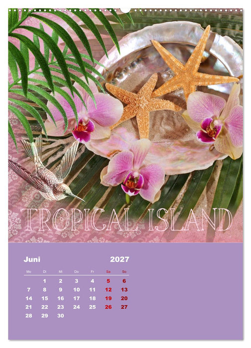 Geschenke vom Meer (CALVENDO Wandkalender 2027)