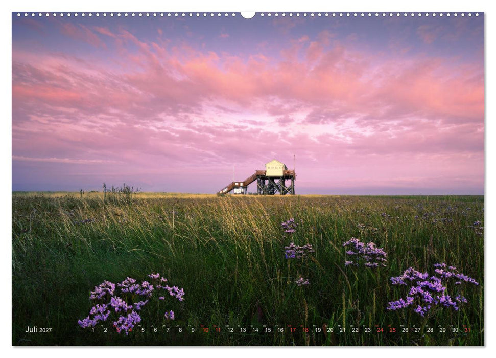 Wunderschönes Eiderstedt (CALVENDO Premium Wandkalender 2027)