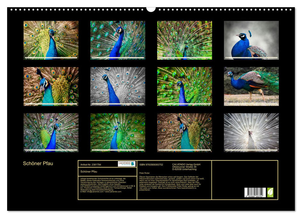Schöner Pfau (CALVENDO Wandkalender 2027)
