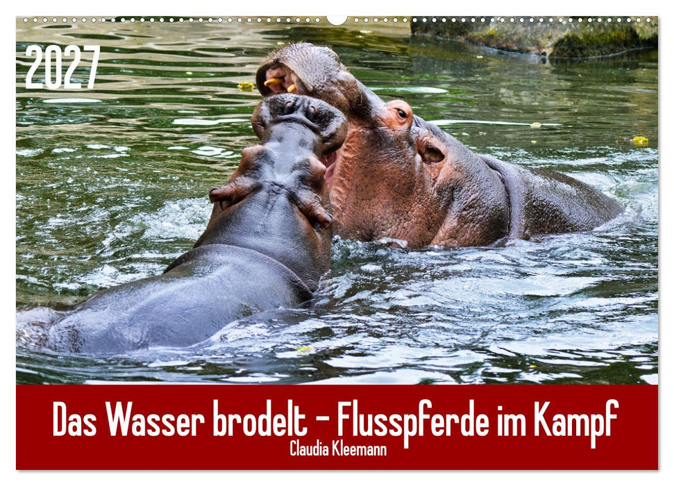 Das Wasser brodelt - Flusspferde im Kampf (CALVENDO Wandkalender 2027)