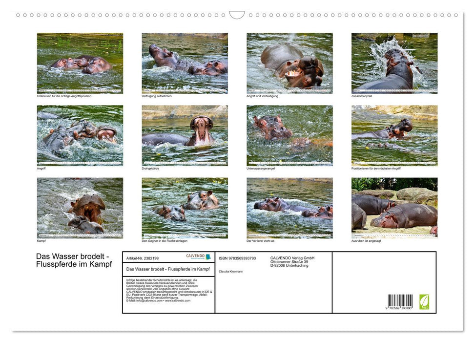 Das Wasser brodelt - Flusspferde im Kampf (CALVENDO Wandkalender 2027)