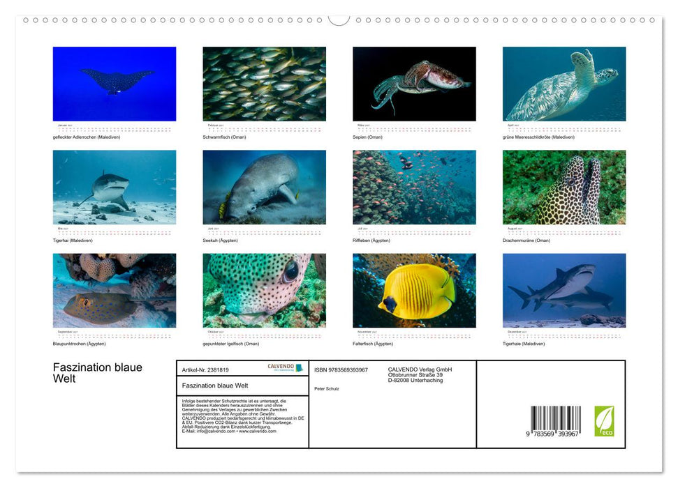 Faszination blaue Welt (CALVENDO Premium Wandkalender 2027)