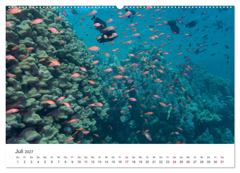 Faszination blaue Welt (CALVENDO Premium Wandkalender 2027)