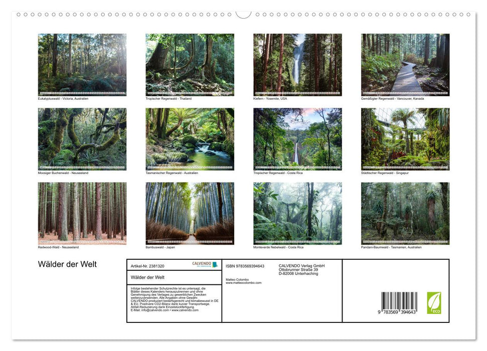 Wälder der Welt (CALVENDO Premium Wandkalender 2027)