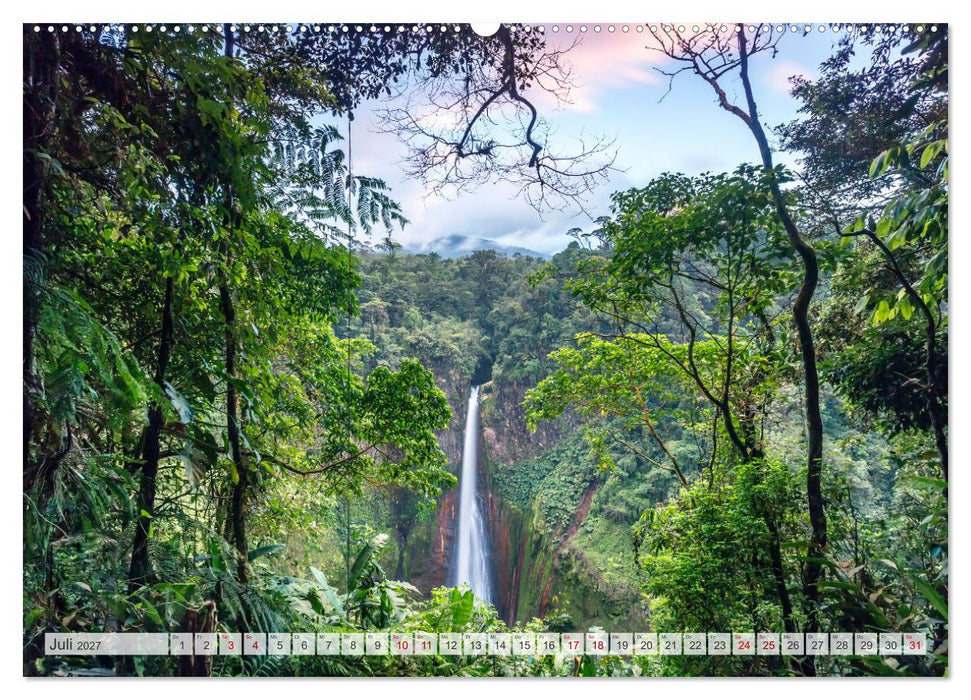 Wälder der Welt (CALVENDO Premium Wandkalender 2027)