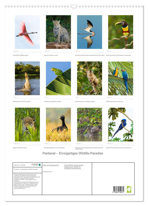 Pantanal – Einzigartiges Wildlife-Paradies (CALVENDO Wandkalender 2027)