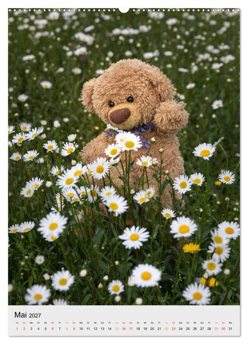 Travelling Teddy liebt es Bunt (CALVENDO Wandkalender 2027)