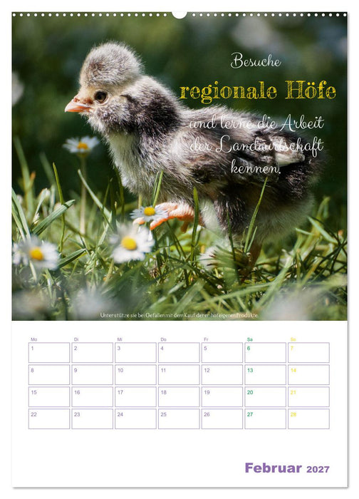 Tierische Challenges: Für mehr Bewusstsein und mehr Tierschutz (CALVENDO Wandkalender 2027)