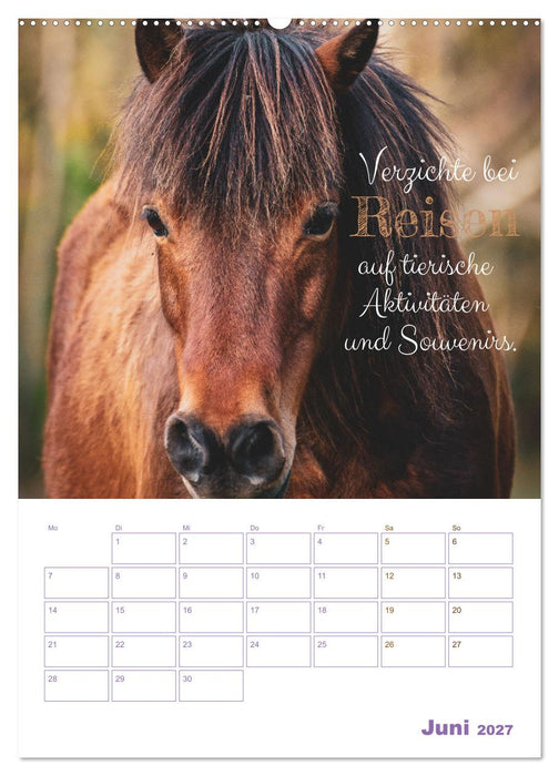 Tierische Challenges: Für mehr Bewusstsein und mehr Tierschutz (CALVENDO Wandkalender 2027)