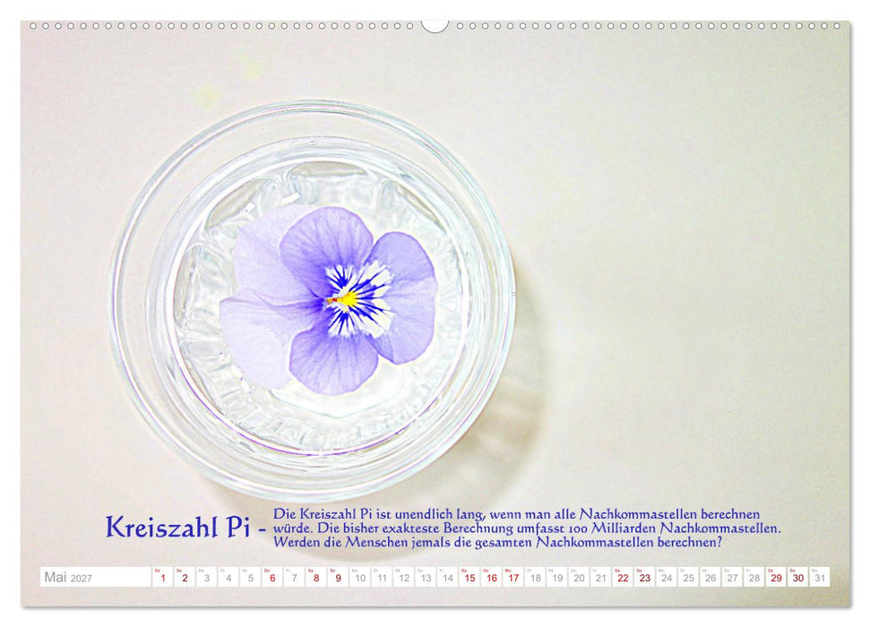 Vermeintliche Gottesbeweise - Nachdenk-Kalender (CALVENDO Premium Wandkalender 2027)