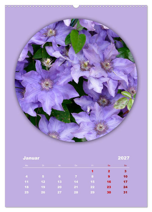 Rundherum Natur (CALVENDO Premium Wandkalender 2027)