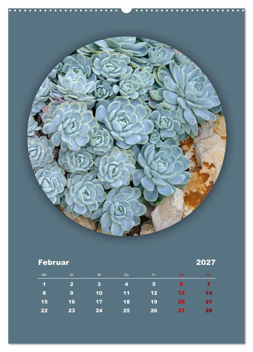 Rundherum Natur (CALVENDO Premium Wandkalender 2027)