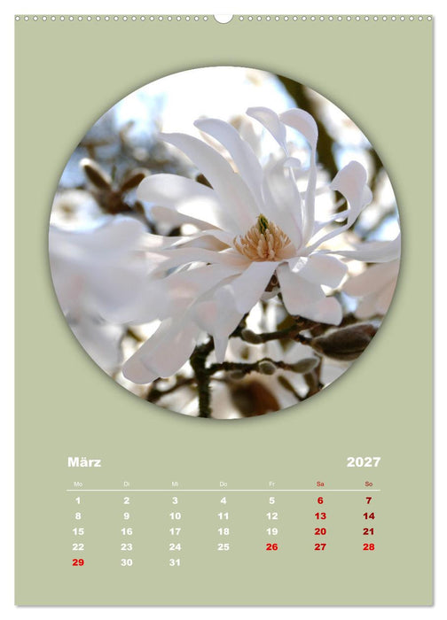 Rundherum Natur (CALVENDO Premium Wandkalender 2027)