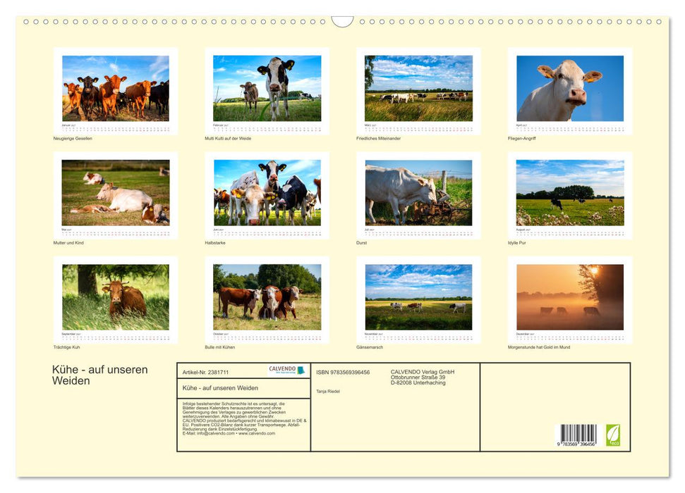 Kühe - auf unseren Weiden (CALVENDO Wandkalender 2027)