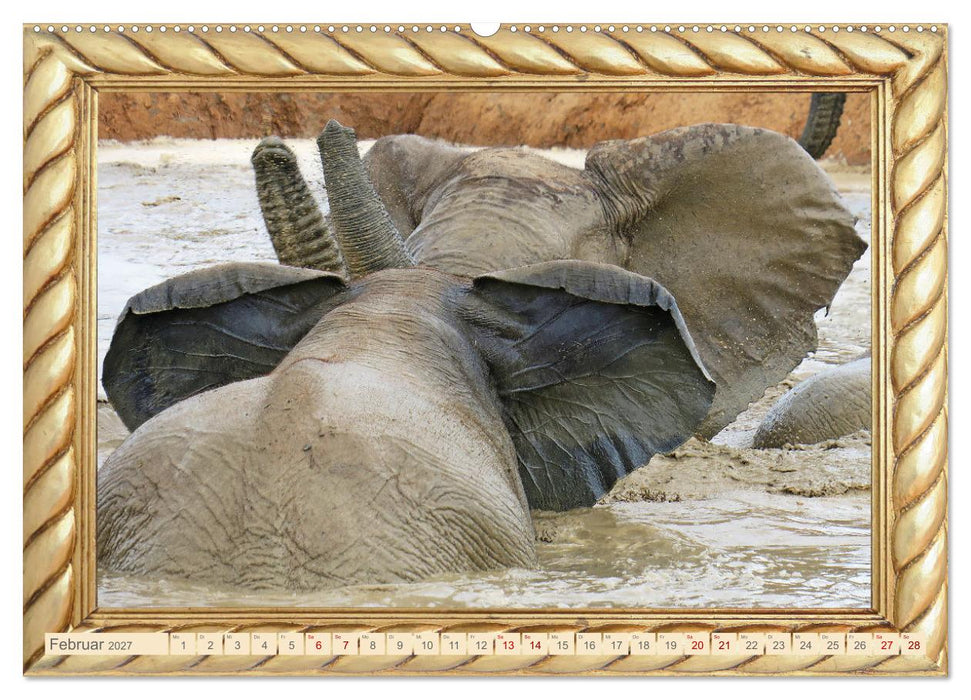Elefanten im Wasserloch (CALVENDO Wandkalender 2027)