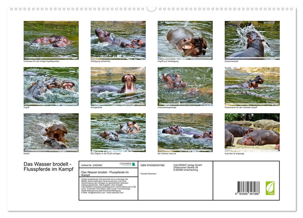 Das Wasser brodelt - Flusspferde im Kampf (CALVENDO Premium Wandkalender 2027)
