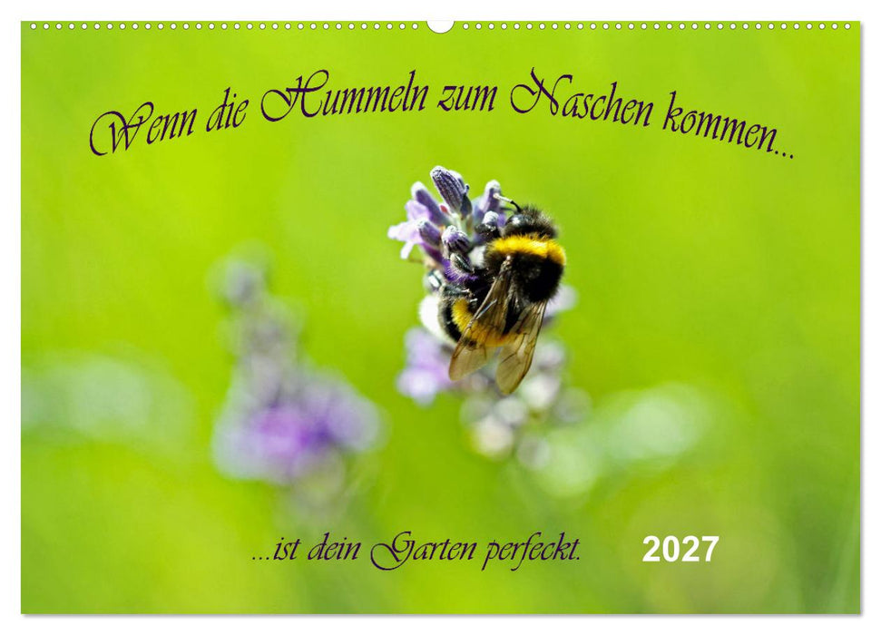 Wenn die Hummeln zum naschen kommen, ist dein Garten perfekt (CALVENDO Wandkalender 2027)