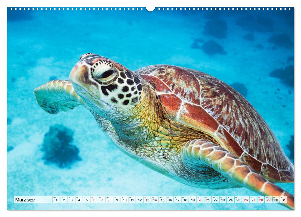 Philippinen - Land der Naturwunder (CALVENDO Wandkalender 2027)