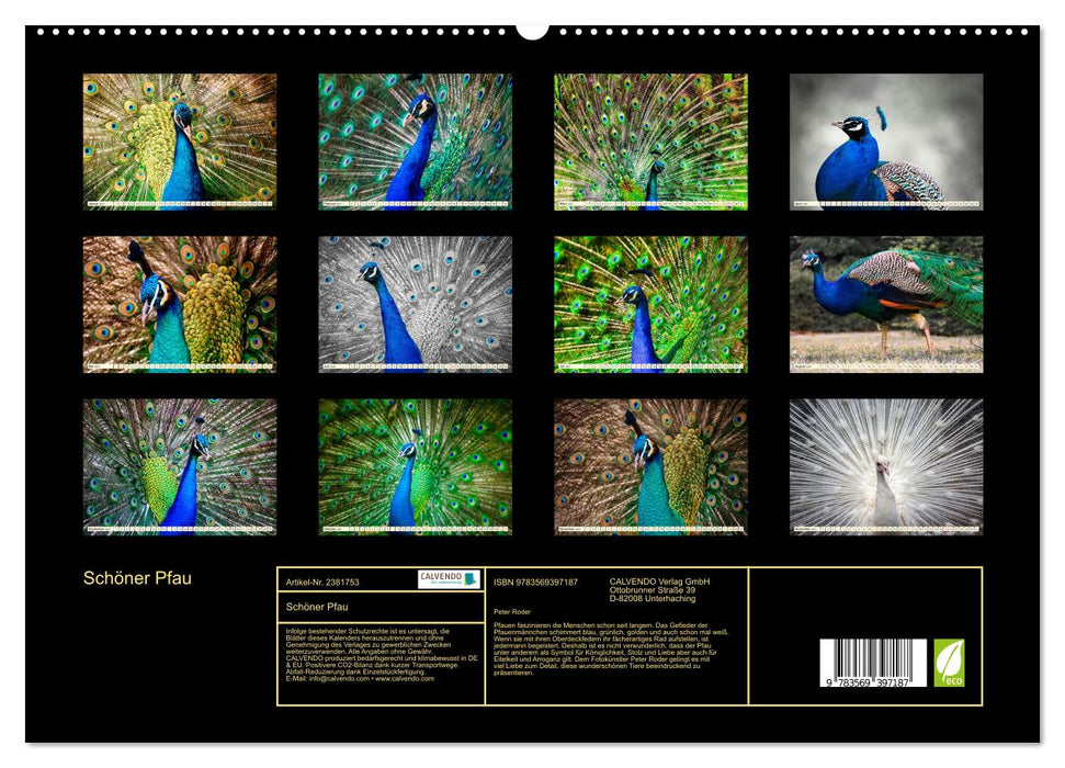 Schöner Pfau (CALVENDO Premium Wandkalender 2027)