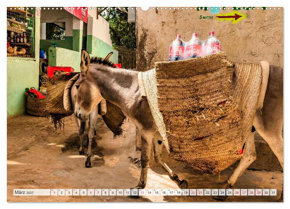 lamu - eintauchen in eine andere Welt vor der Küste Kenias (CALVENDO Premium Wandkalender 2027)