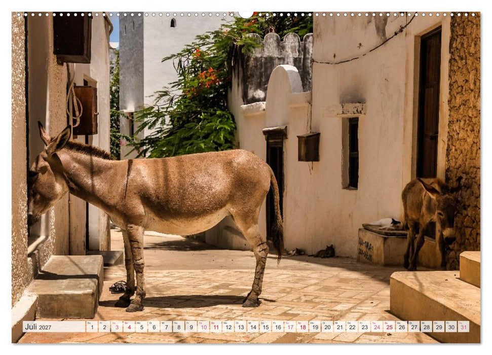 lamu - eintauchen in eine andere Welt vor der Küste Kenias (CALVENDO Premium Wandkalender 2027)